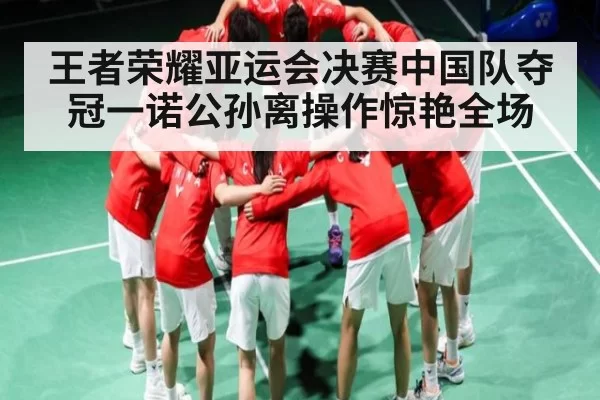 王者荣耀亚运会决赛中国队夺冠一诺公孙离操作惊艳全场 - IMESPORTS